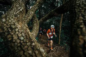 BIB: 
                            <button type="button" onclick="openModal(25699889)" class="btn btn-primary btn-sm float-right btn-popup" data-toggle="modal" data-target=".modal-high-quality">
                        <i class="fas fa-shopping-cart"></i> Add to Cart
                    </button>
                                            <button type="button" onclick="isThisMe(25699889, true)" class="btn btn-success btn-sm float-right btn-popup btn-isme hidden" data-toggle="tooltip" data-placement="bottom" title="นี่คือรูปของคุณใช่ไหม คลิกที่นี่เพื่อเอาเข้าอัลบั้ม">
                        <i class="fas fa-plus"></i> Add to album
                    </button>
                    <button type="button" onclick="isThisMe(25699889, false)" class="btn btn-warning btn-sm float-right btn-popup btn-isnotme hidden">
                        <i class="fas fa-ban"></i> Remove from album
                    </button>